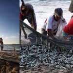 55226 27082025 900x500 (1)