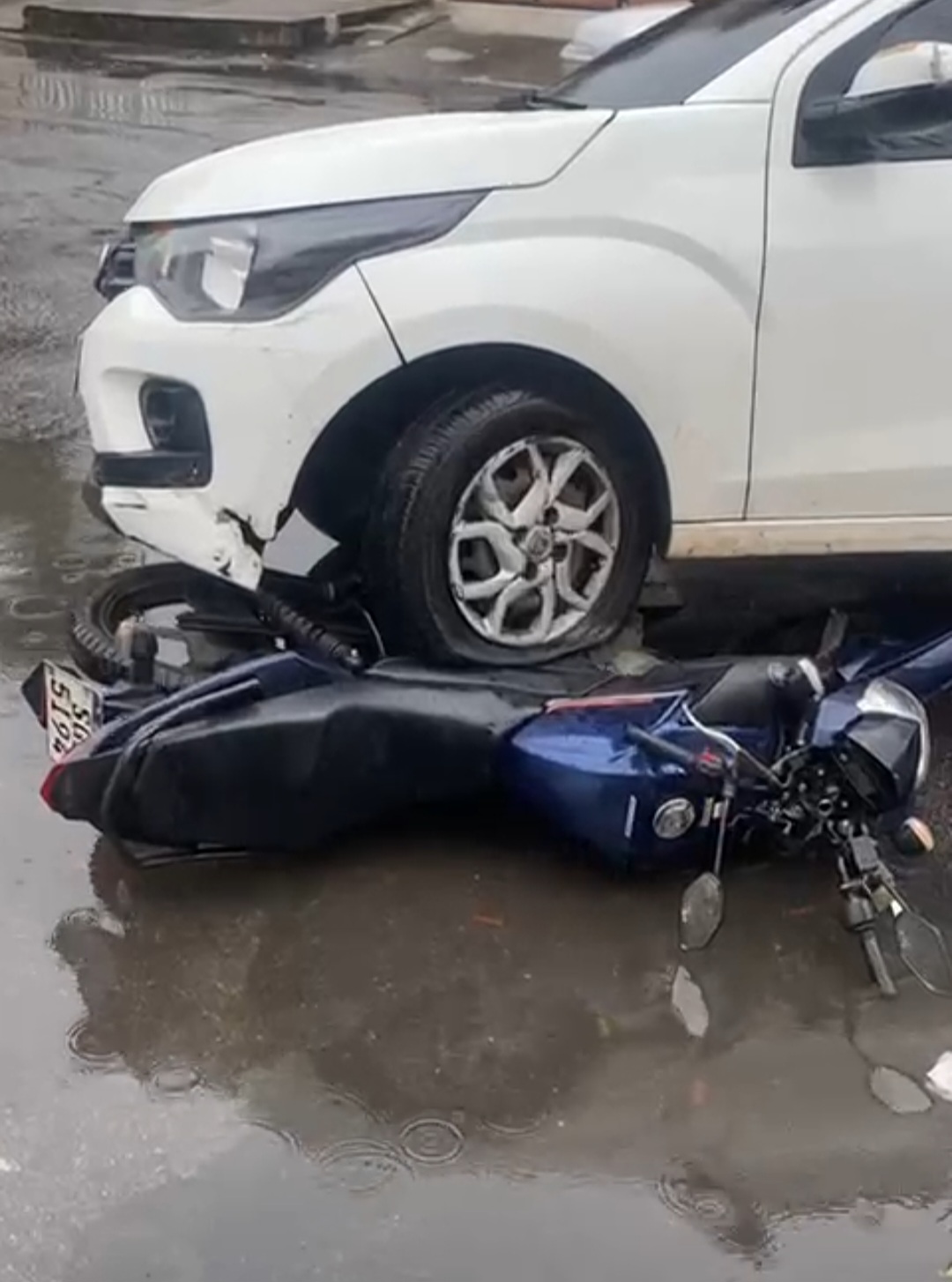 Screenshot 20251125 094939 Gallery