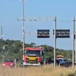 Screenshot 20251130 175159 Gallery