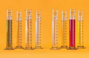 WhatsApp Image 2025 11 26 at 08.25.42 (1)