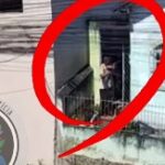 WhatsApp Image 2025 11 30 at 14.54.57 (1)