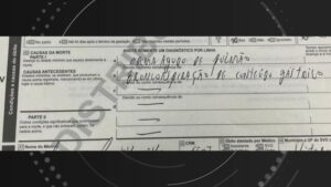 Thumb fotos 2025 07 22t102232.737