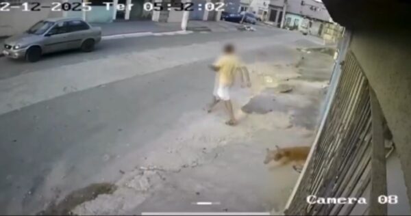 Screenshot 20251202 215341 Gallery