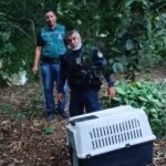 Screenshot 20251204 224737 Gallery