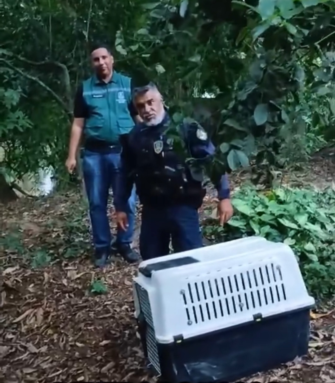 Screenshot 20251204 224737 Gallery