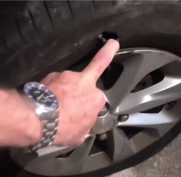 Screenshot 20251204 232757 Gallery