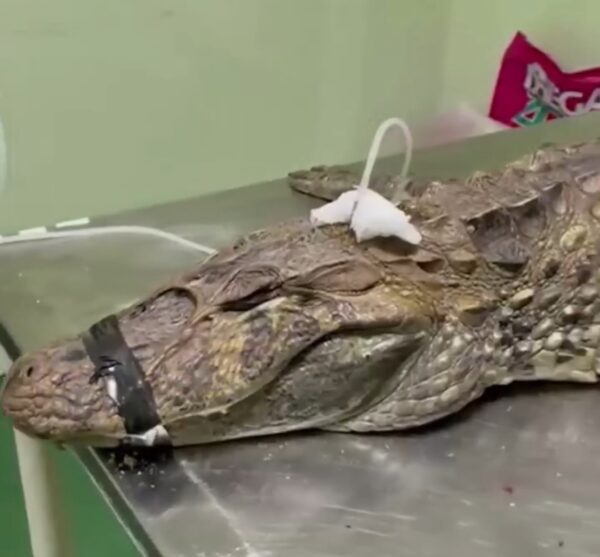 Screenshot 20251208 201542 Video Player