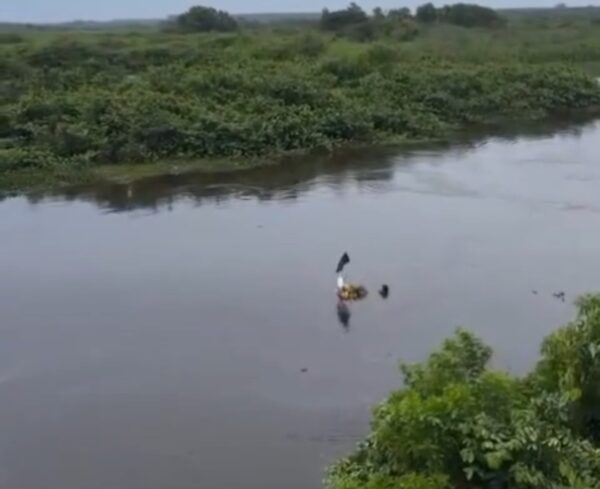 Screenshot 20251215 153554 Gallery