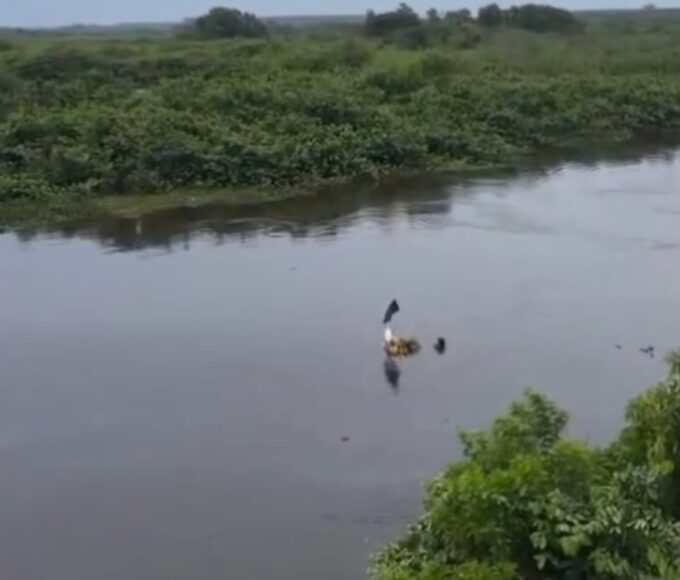 Screenshot 20251215 153554 Gallery