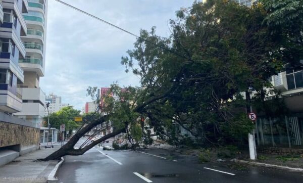 WhatsApp Image 2025 12 04 at 11.48.30 (1)