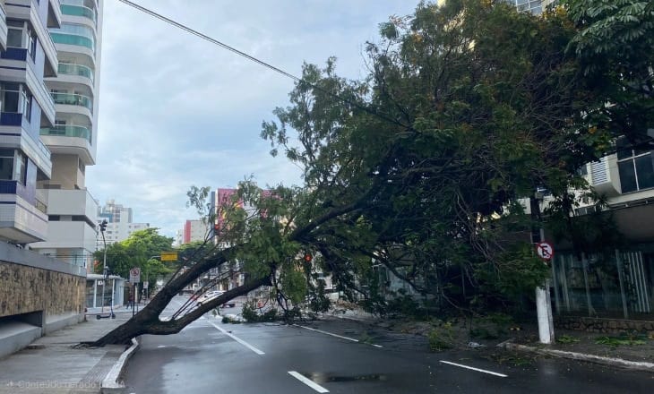 WhatsApp Image 2025 12 04 at 11.48.30 (1)