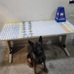 10º Batalhão registra prisões, apreensões e cumprimento de mandado em Guarapari