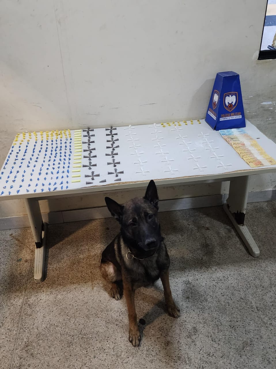 10º Batalhão registra prisões, apreensões e cumprimento de mandado em Guarapari