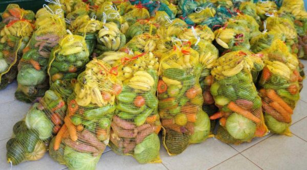 55724 26012026 900x500