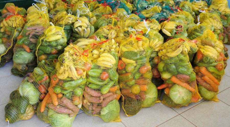 55724 26012026 900x500