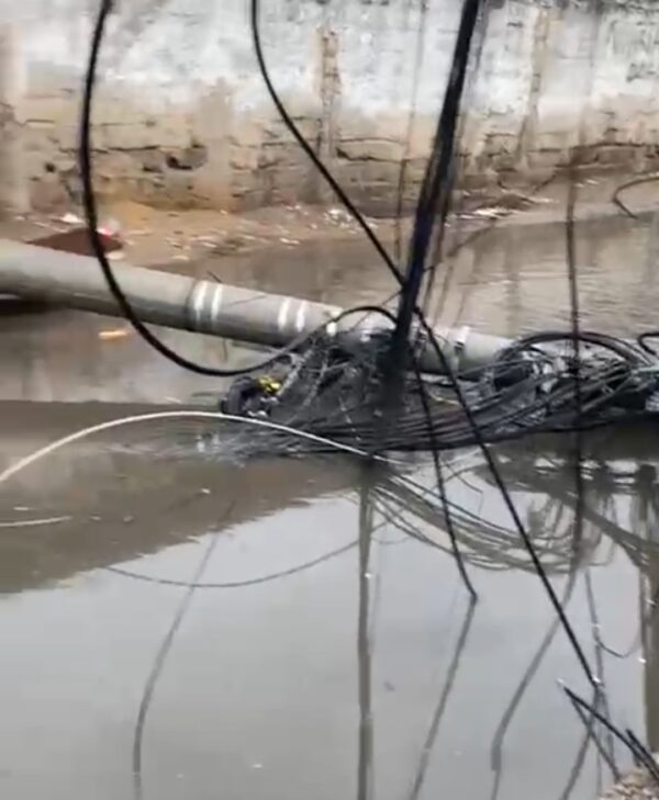 Screenshot 20260120 213957 Gallery