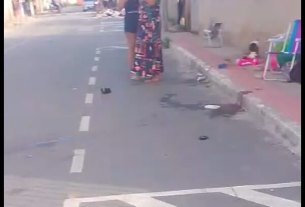 Screenshot 20260125 144916 Gallery