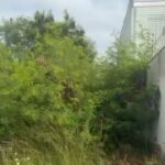 Screenshot 20260128 114049 Gallery