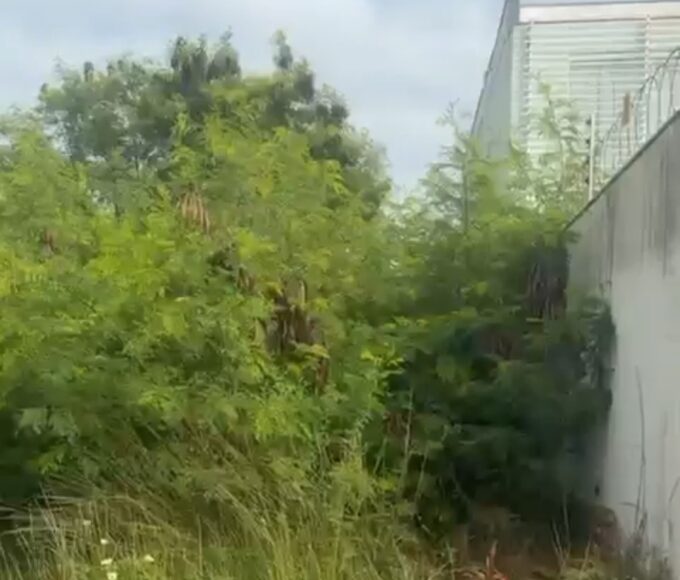 Screenshot 20260128 114049 Gallery