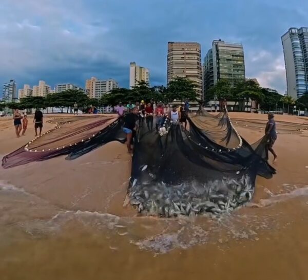 Screenshot 20260131 112241 Gallery