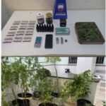 10º BATALHÃO RECUPERA VEÍCULO COM RESTRIÇÃO E APREENDE PLANTAÇÃO DE MACONHA EM GUARAPARI