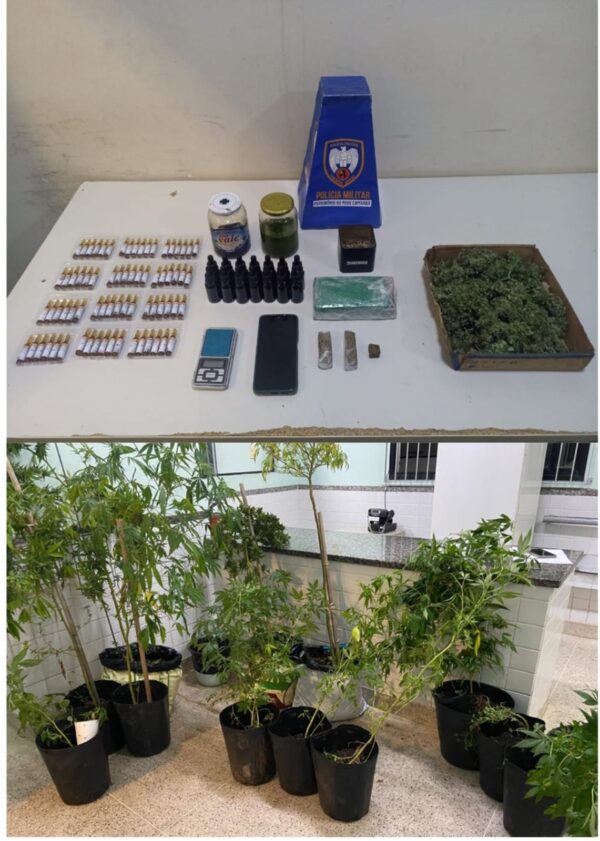 10º BATALHÃO RECUPERA VEÍCULO COM RESTRIÇÃO E APREENDE PLANTAÇÃO DE MACONHA EM GUARAPARI