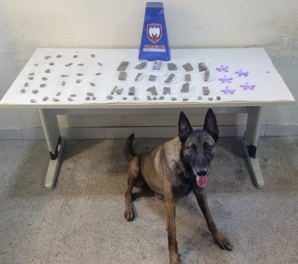 10º BPM DIVULGA BALANÇO DA OPERAÇÃO CARNAVAL 2026 EM GUARAPARI