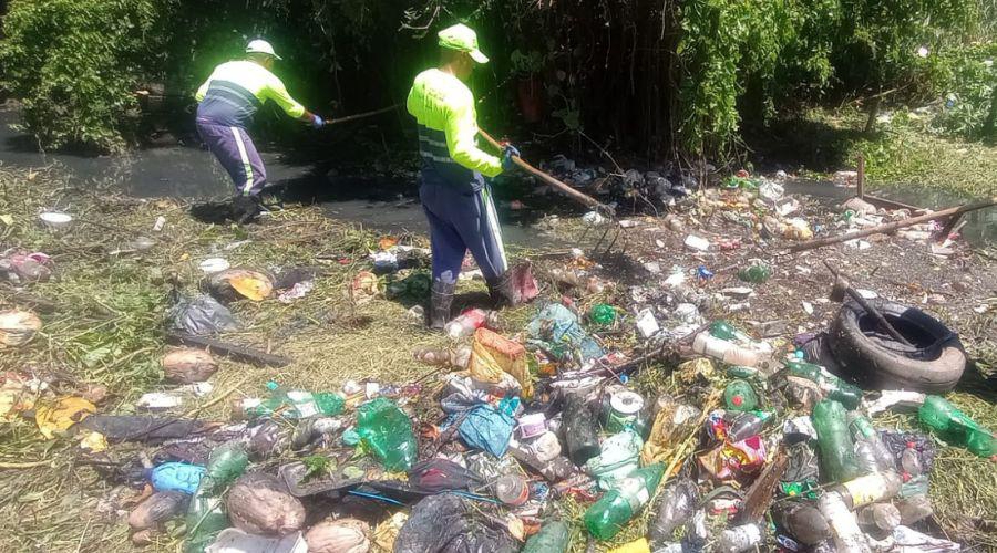 Retirada de lixos dos canais de Vila Velha
