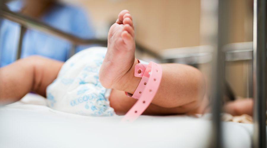 55833 24022026 900x500