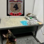 Ação do BAC resulta em expressiva apreensão de drogas durante operação em Cariacica