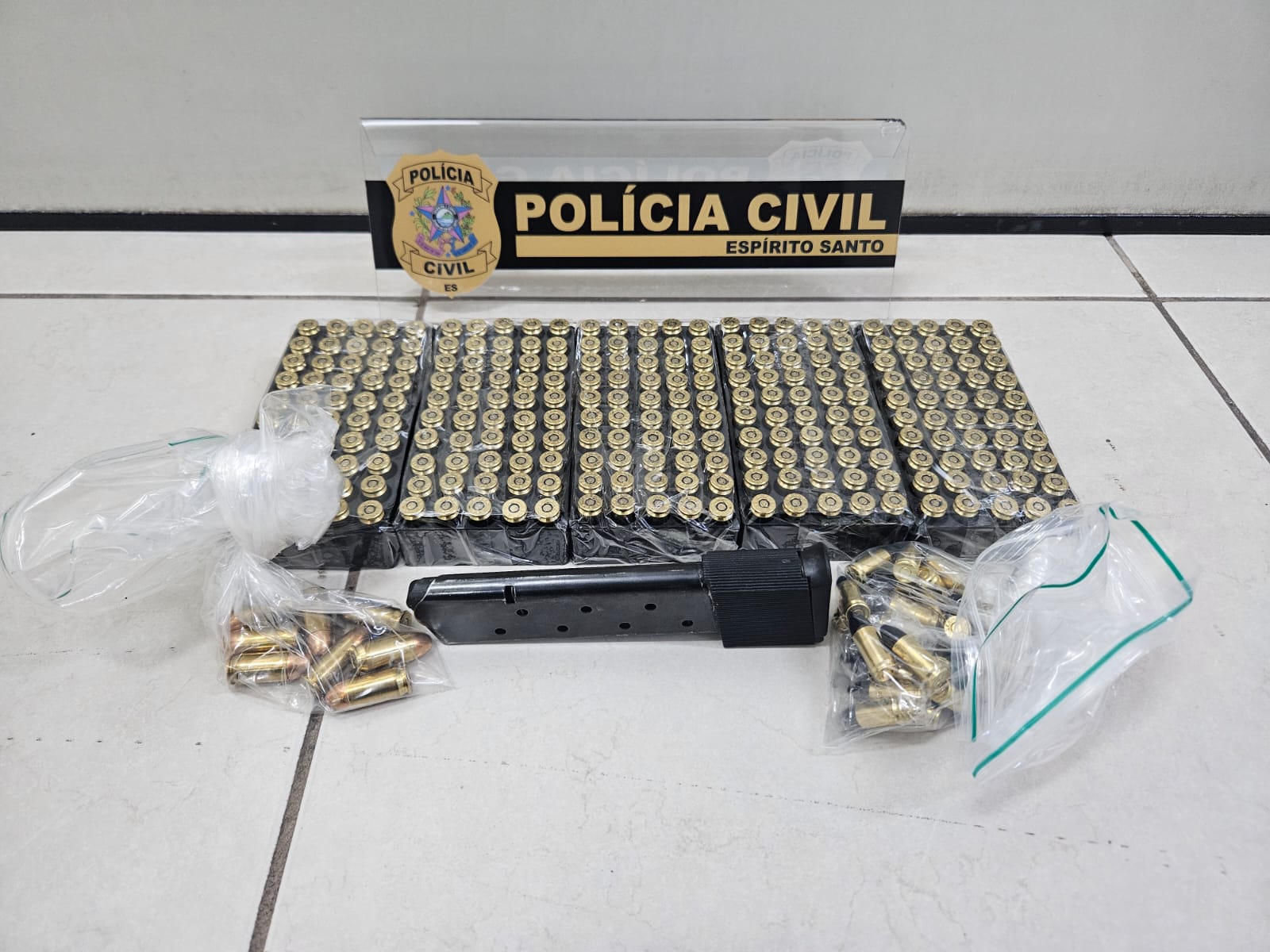 Deic apreende 288 munições de calibre restrito em área de mata na zona rural de Cariacica  