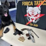 Força Tática da 17ª Cia Independente apreende armas de fogo em Vila Velha