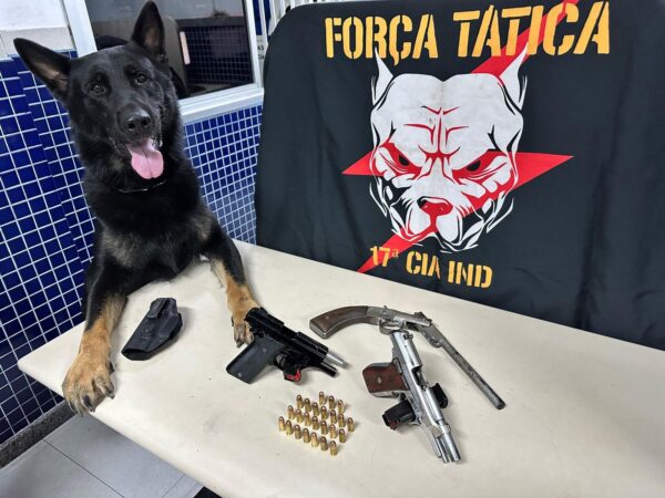 Força Tática da 17ª Cia Independente apreende armas de fogo em Vila Velha