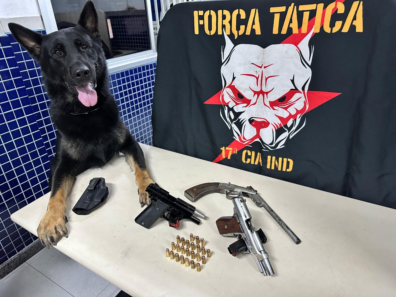 Força Tática da 17ª Cia Independente apreende armas de fogo em Vila Velha