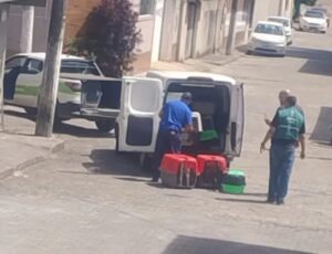 Equipe do Bem estar do animal de Vila Velha recolheu o cachorro