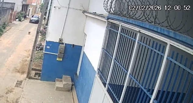 PCES - PCES conclui inquérito sobre atropelamento de cão em Cariacica