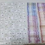 Prisões, apreensões de entorpecentes e cumprimento de mandados em Guarapari