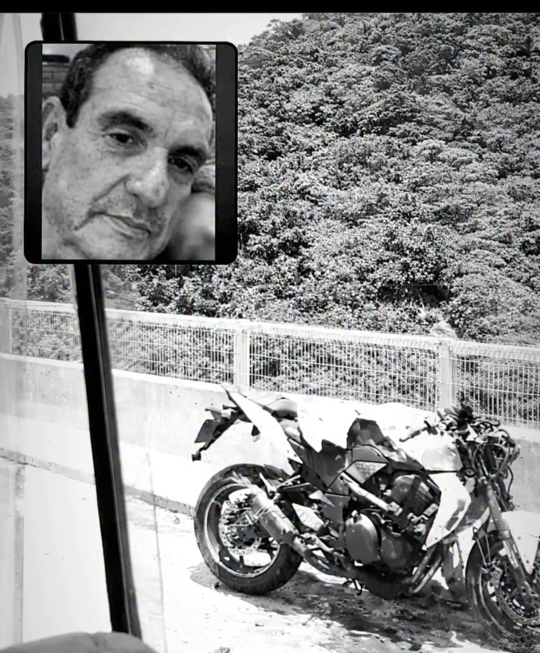 Screenshot 20260204 213019 Gallery