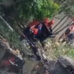 Screenshot 20260218 204326 Gallery