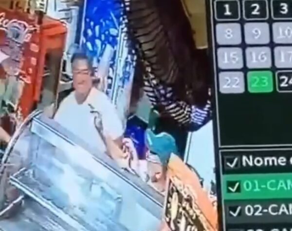 Screenshot 20260223 210256 Gallery