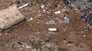 As cápsulas ficaram espalhadas próximo ao local do crime