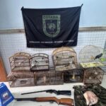 Polícia Militar Ambiental intensifica combate à caça ilegal e porte irregular de armas no estado