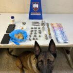 Polícia Militar prende suspeitos e cumpre mandado de busca e apreensão durante o final de semana em Guarapari