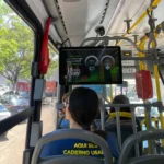 WhatsApp Image 2026 03 04 at 18.13.48 1440x1286.jpeg