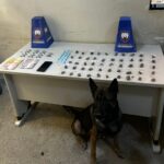 10º BPM apreende drogas, recupera veículo e cumpre mandado de prisão em Guarapari