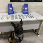 10º BPM apreende grande quantidade de drogas e detém suspeitos em Guarapari