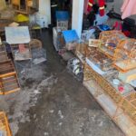 Ação integrada resgata 91 aves em situação de maus-tratos em Vila Velha