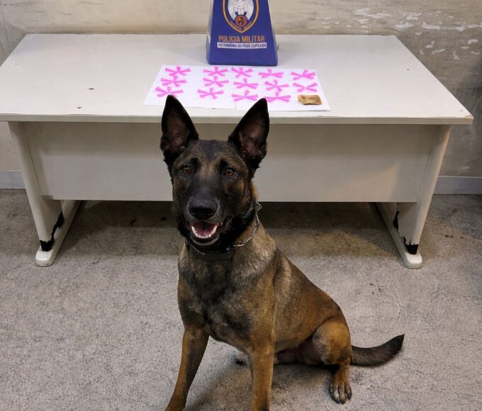 Polícia Militar realiza apreensões de drogas, arma de fogo e cumpre mandados em Guarapari