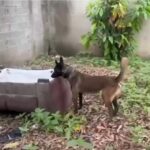 Screenshot 20260407 182519 Gallery