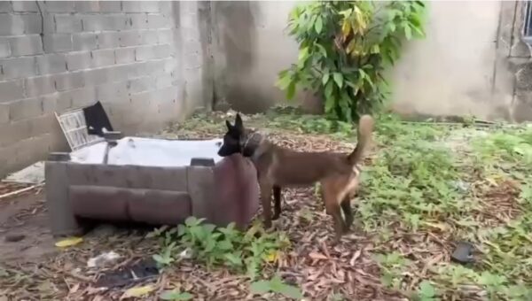 Screenshot 20260407 182519 Gallery